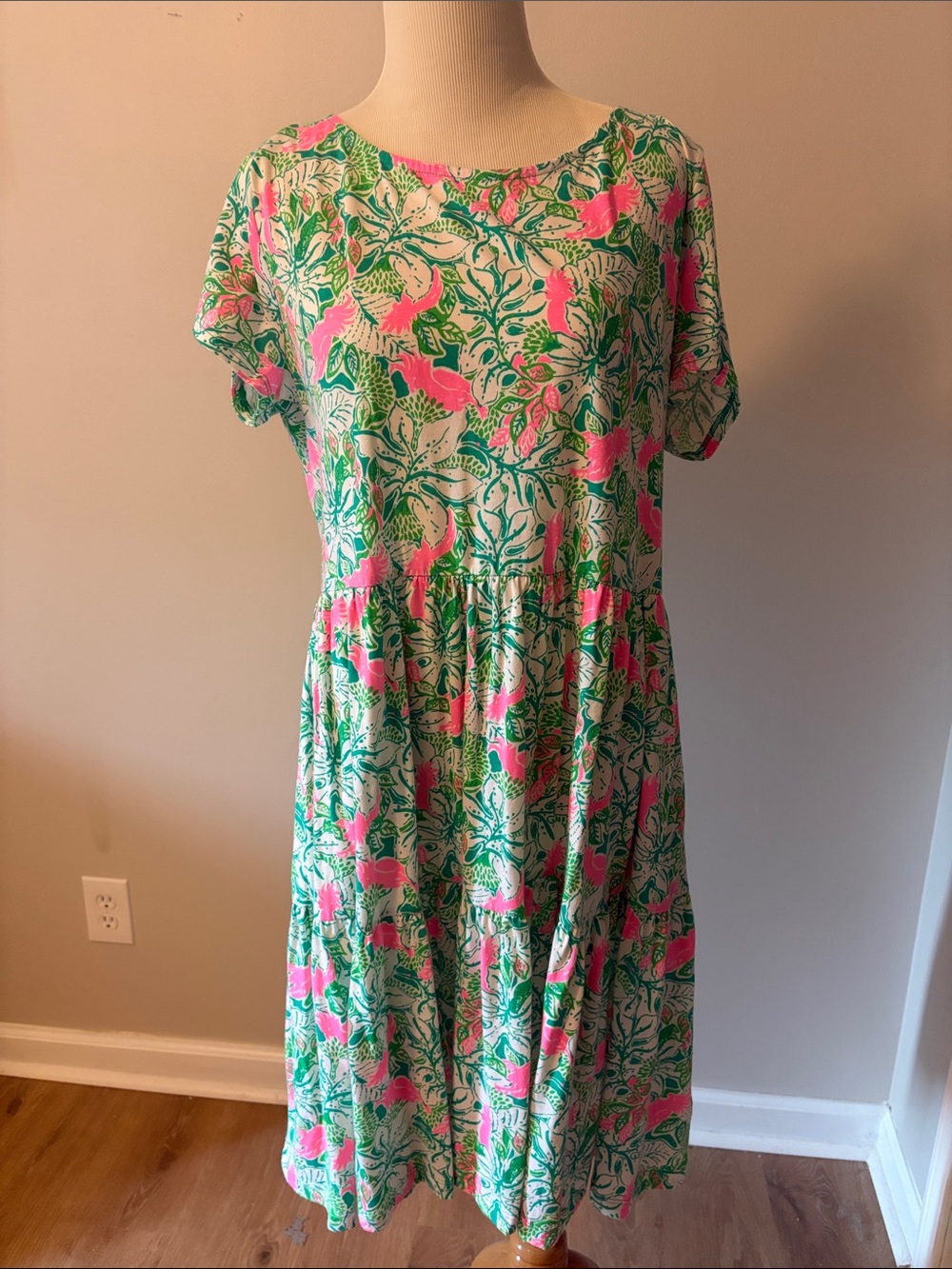 NWT Geanna short sleeve dress just wing it